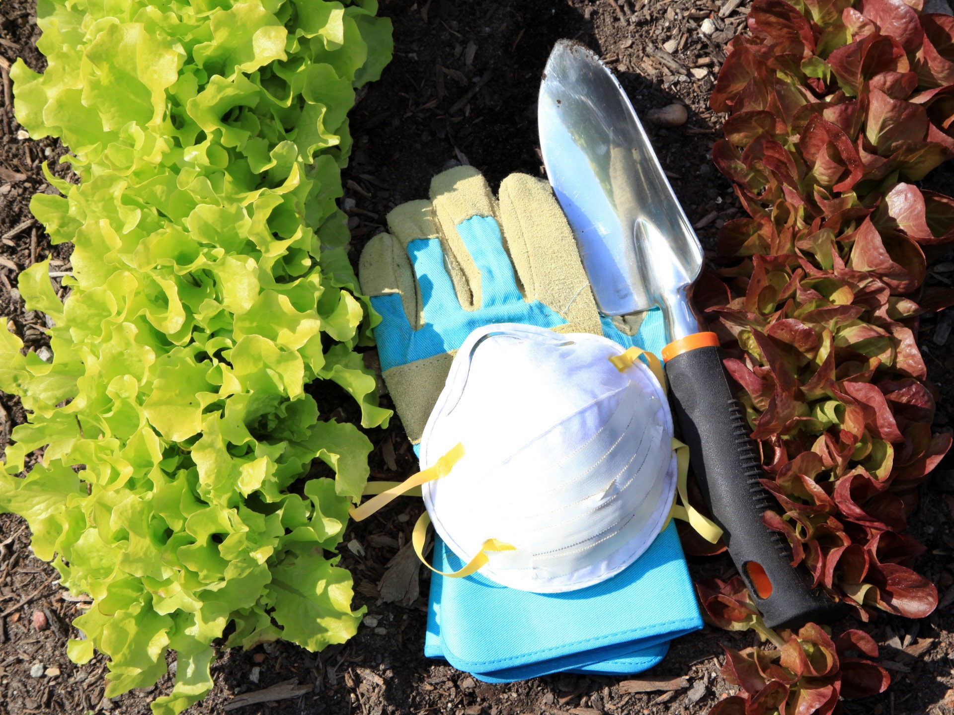 Protect yourself from Legionnaires' Disease when using compost and potting